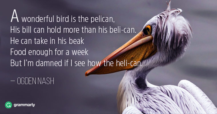 A-wonderful-bird-is-the-pelican1-760x400