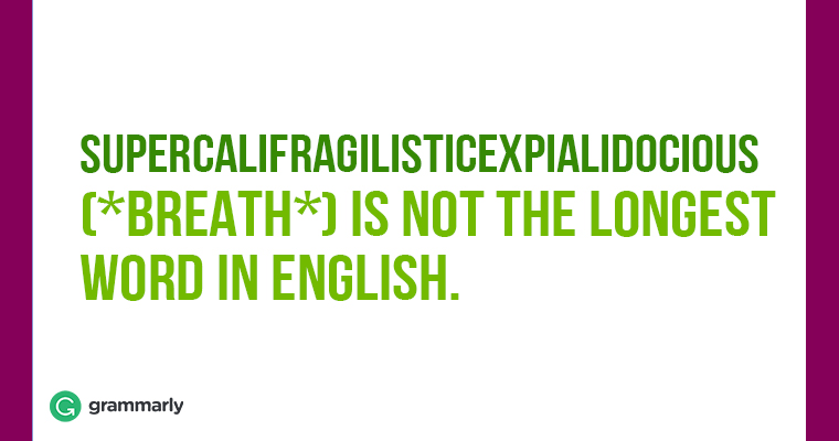 30 fun facts about english language