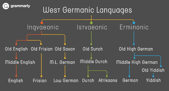 The English language. A brief history of its grammatical changes