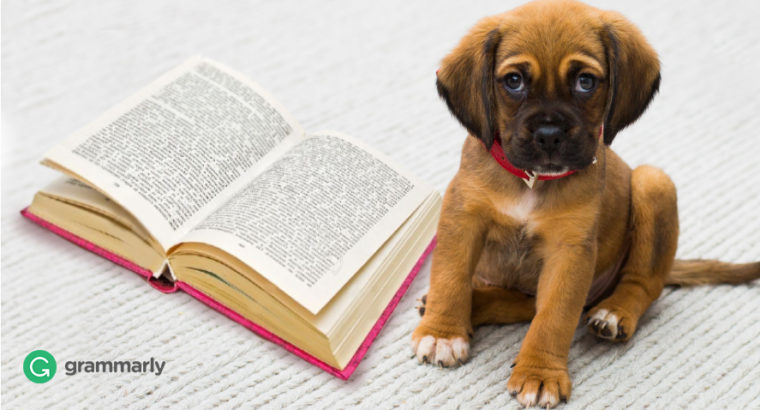 11 Adorable Canine Readers