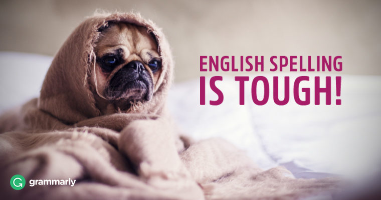 Can You Spell The 25 Most Commonly Missed Words In English? Image