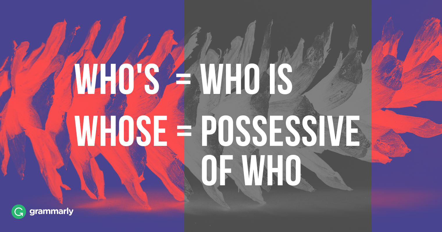 Whose vs. Who's | Grammarly Blog