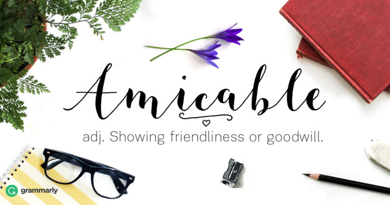 Amicable Definition