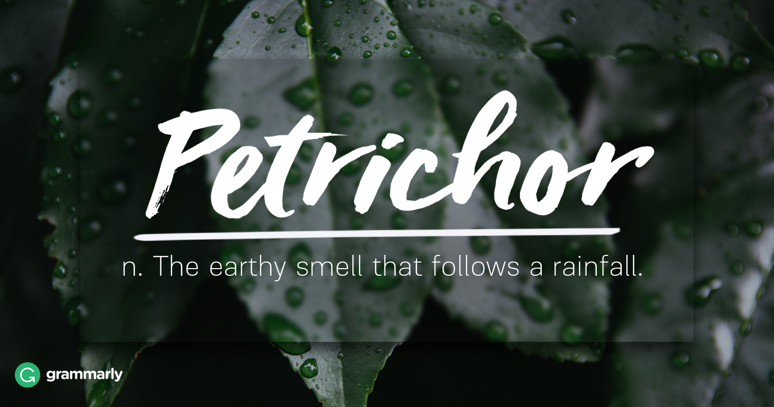 8 Words Nature Lovers | Grammarly