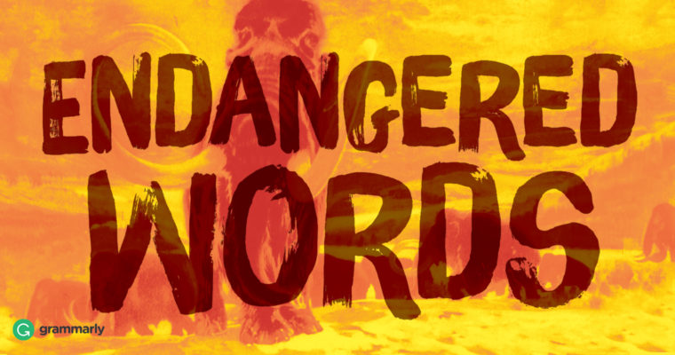 6 Endangered Words image