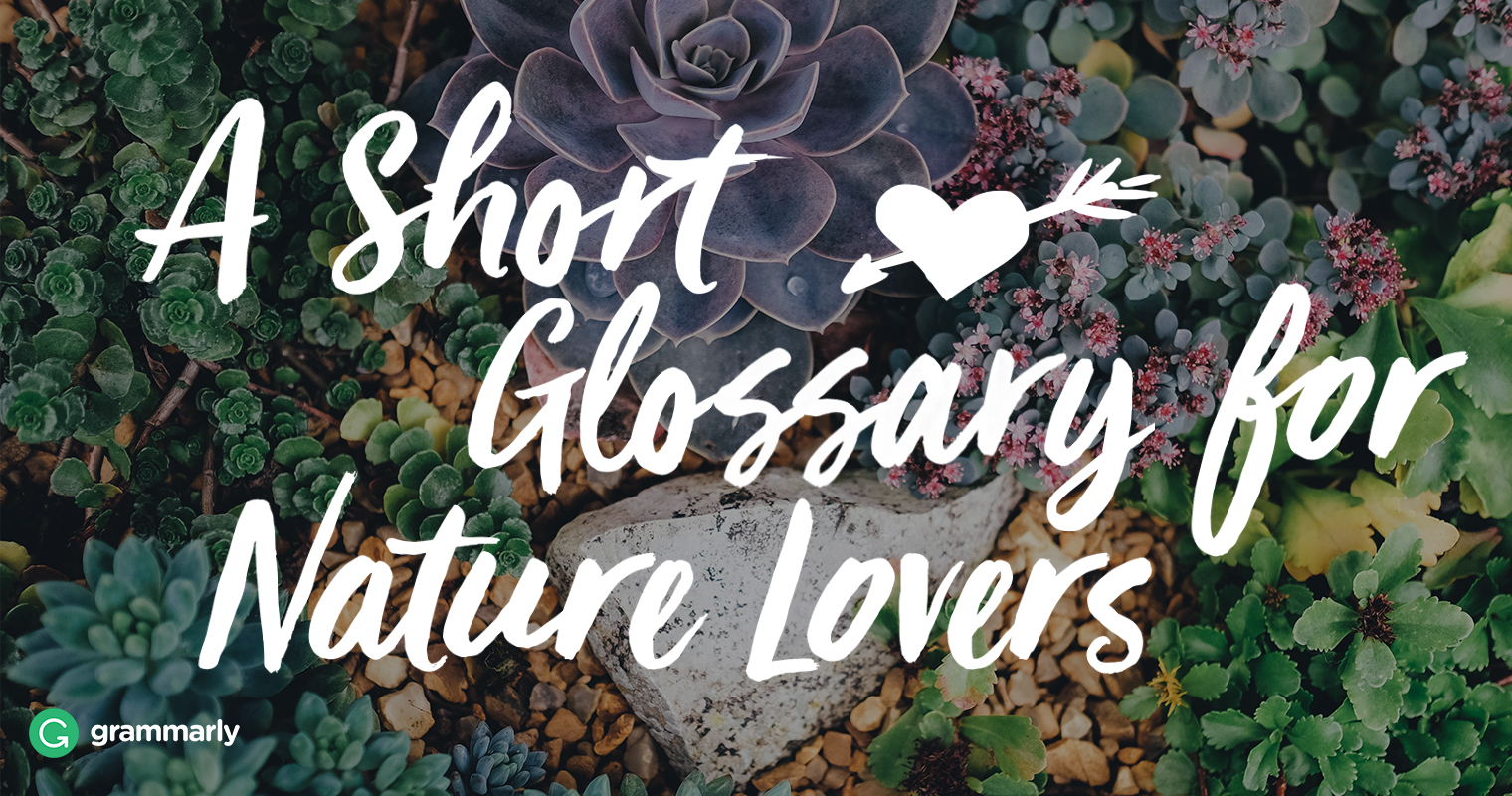 8 Words For Nature Lovers Grammarly Blog