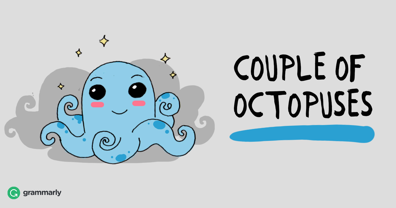 octopi-or-octopuses-which-is-the-plural-of-octopus-grammarly