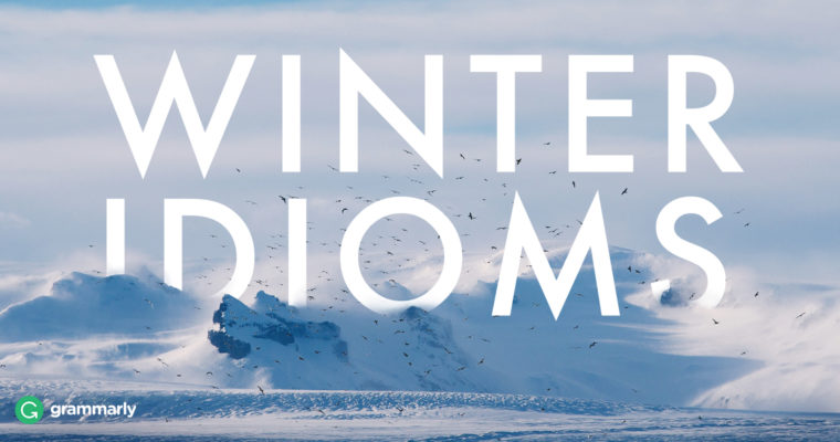 8 More Wondrous Winter Idioms image