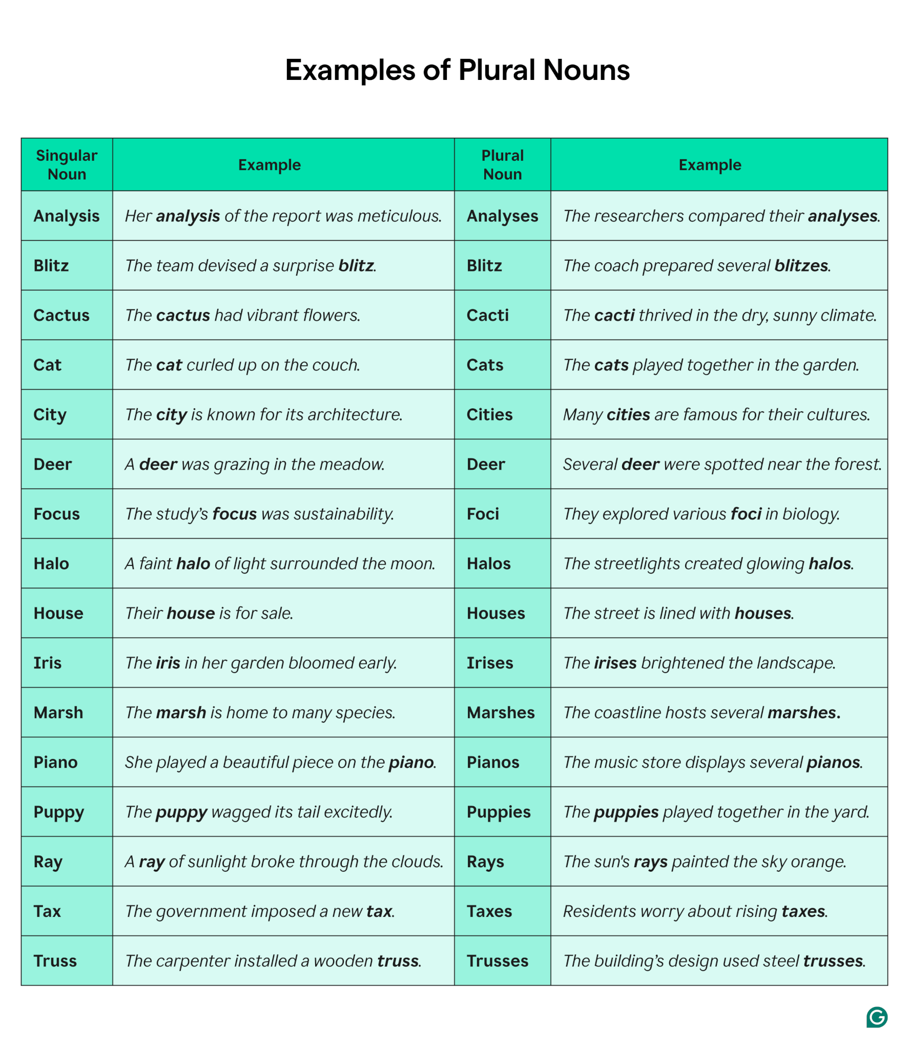 10 Irregular Plural Nouns